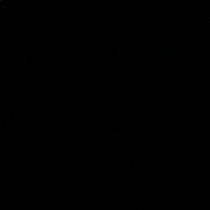 Meet your Posher, Cheyenne